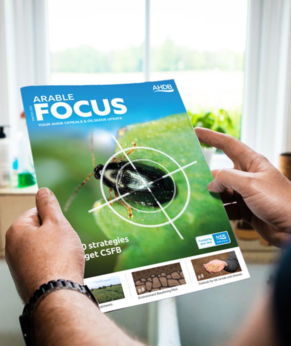 Somebody holding a magazine (Arable Focus, Winter 2025 edition).